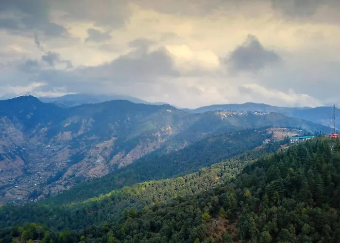 Treehouse Chail Villas